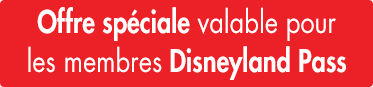 D30d-banniere-disneyland-2 Offre spéciale Disneyland
